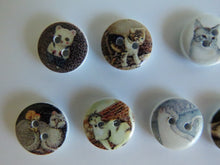 Load image into Gallery viewer, 25 Mixed Cat print buttons- white wood look back 15mm