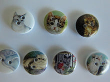 Load image into Gallery viewer, 25 Mixed Cat print buttons- white wood look back 15mm