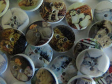 Load image into Gallery viewer, 25 Mixed Cat print buttons- white wood look back 15mm