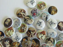 Load image into Gallery viewer, 25 Mixed Cat print buttons- white wood look back 15mm